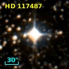 HD 117487