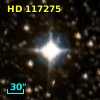 HD 117275