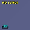 HD 117604