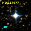 HD 117977