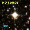 HD 116605