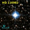 HD 116982