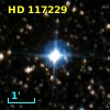 HD 117229