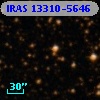 IRAS 13310-5646