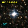 HD 119599
