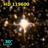 HD 119600