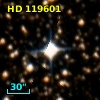 HD 119601