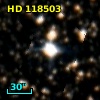 HD 118503