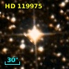 HD 119975
