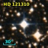 HD 121310