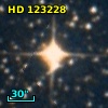 HD 123228