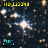 HD 123348