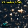 Cl Loden 1095