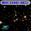 IRAS 13442-6022