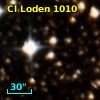 Cl Loden 1010