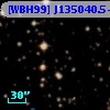 [WBH99] J135040.5-613509