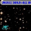 [MS81] 309.9+0.5 IRS 1