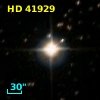 HD  41929