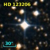 HD 123206
