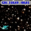 GRS 310.89 -00.01