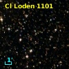 Cl Loden 1101