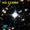 HD 123960