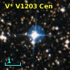 V* V1203 Cen