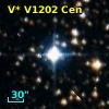 V* V1202 Cen