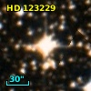 HD 123229