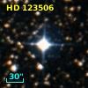 HD 123506