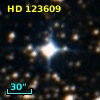 HD 123609
