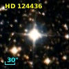 HD 124436