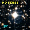 HD 123855