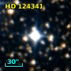 HD 124341