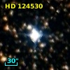 HD 124530