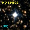 HD 124529