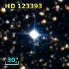HD 123393