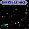 SNR G310.6-00.3