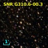 MSC 310.6-0.3