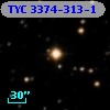 TYC 3374-313-1