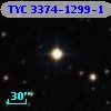 TYC 3374-1299-1