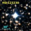 HD 123230