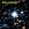 HD 123437