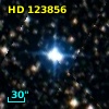 HD 123856