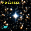 HD 124833