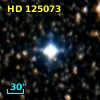 HD 125073