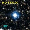 HD 123100