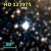 HD 123975