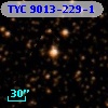 TYC 9013-229-1