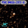 TYC 9013-272-1